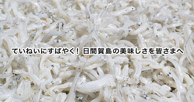 しらす等の製品写真